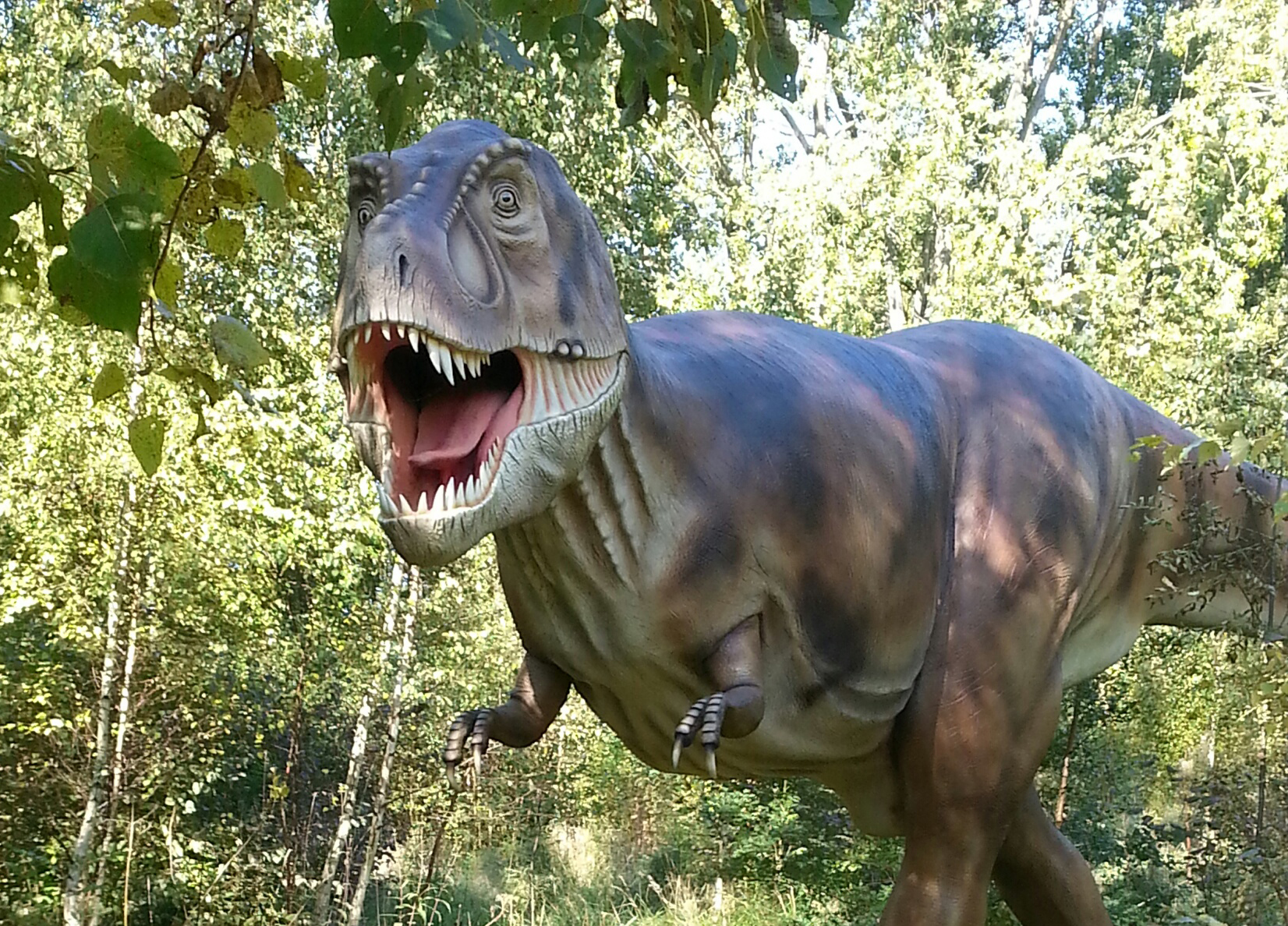 Tyrannosaurus Rex im Dinosaurierland Rügen